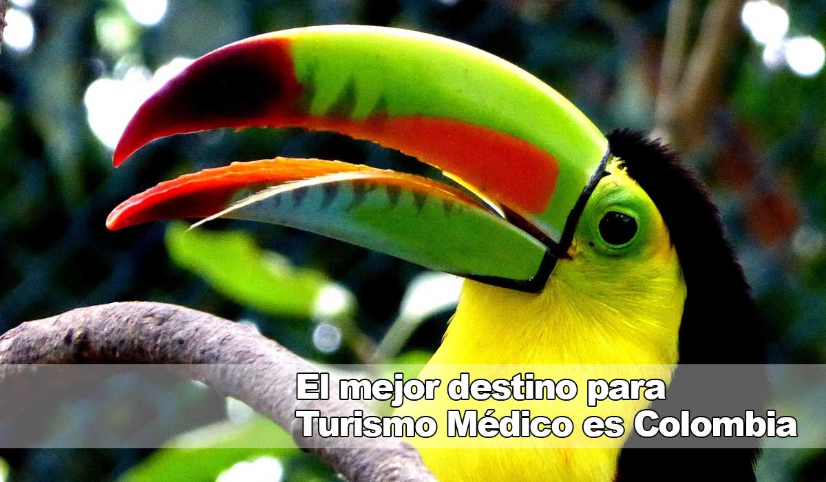 Adelgazar con láser y aprovecha el Turismo Médico en Colombia con Clínica Obesidad y Envejecimiento