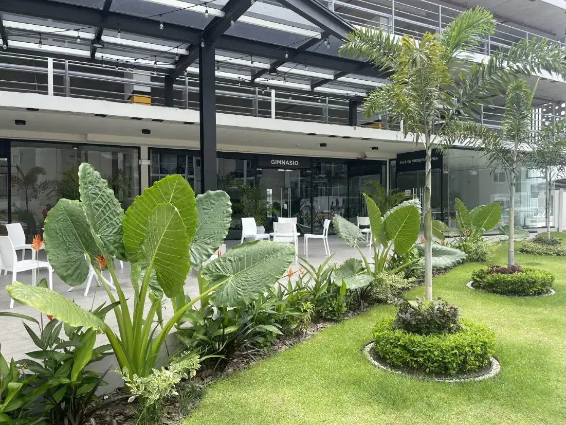 Venta de apartamentos en Panamá: opciones si vives en Paraguay