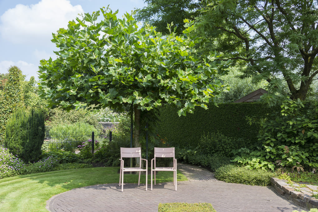 Dónde comprar sillas de plástico resistentes y elegantes en Guatemala